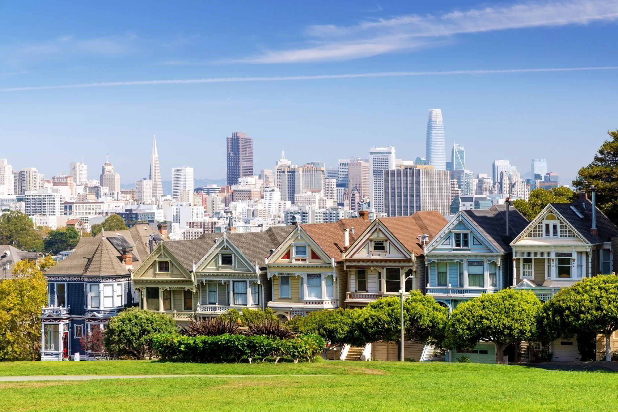 The Painted Ladies and San Francisco downtown